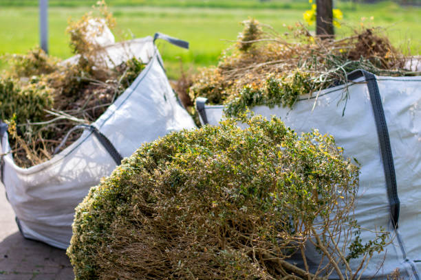 Best Same-Day Junk Removal Services  in Liberty Triangle, FL